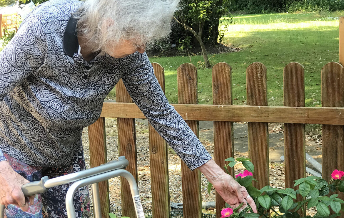 Elderly Health Issues