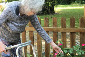 Elderly Health Issues