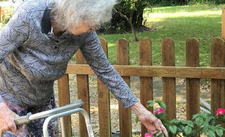 Elderly Health Issues