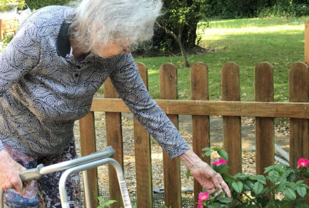 Elderly Health Issues